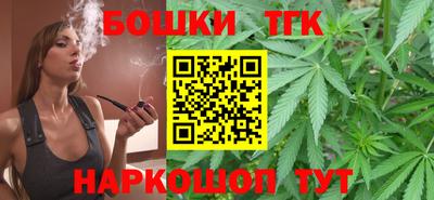 индика Аргун