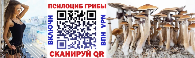 Галлюциногенные грибы Cubensis ссылка на мегу ТОР Баксан