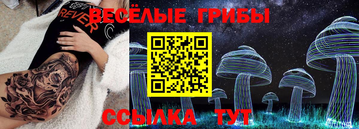 Баксан  Псилоцибиновые грибы мицелий  Вход с VPN 